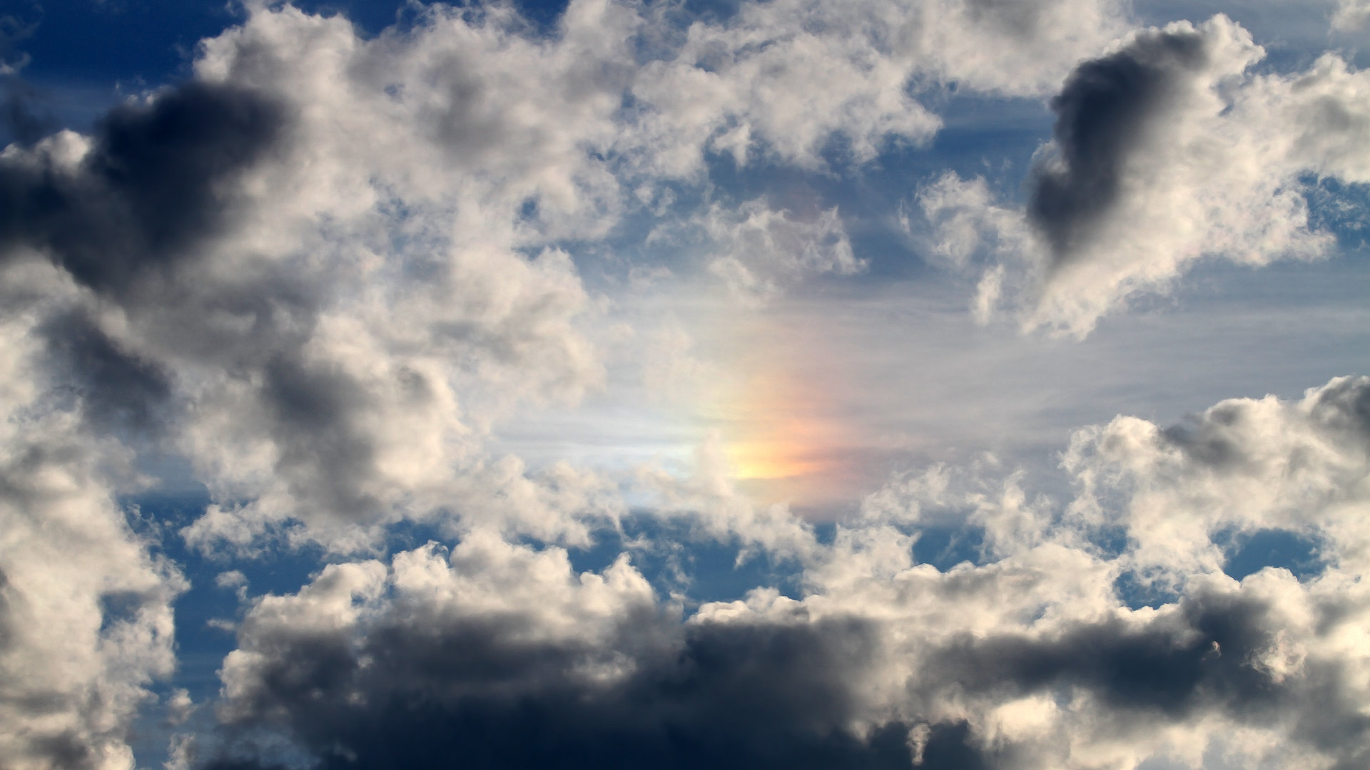 开云官网-数字青训项目“赋能”未来，行业智能化水平持续提升，数字青少年宫登录入口