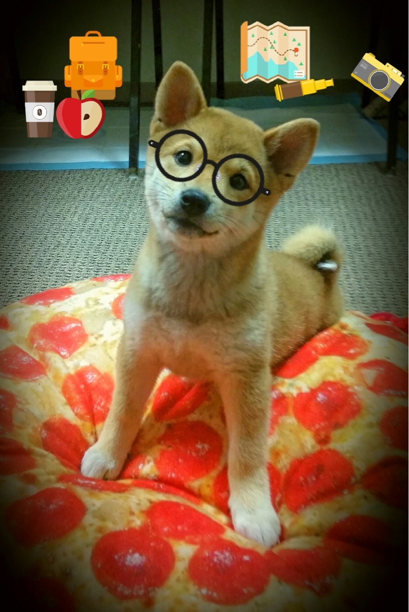 开云中国大陆-李可伤愈复出，重返国家队，李可是国家队吗