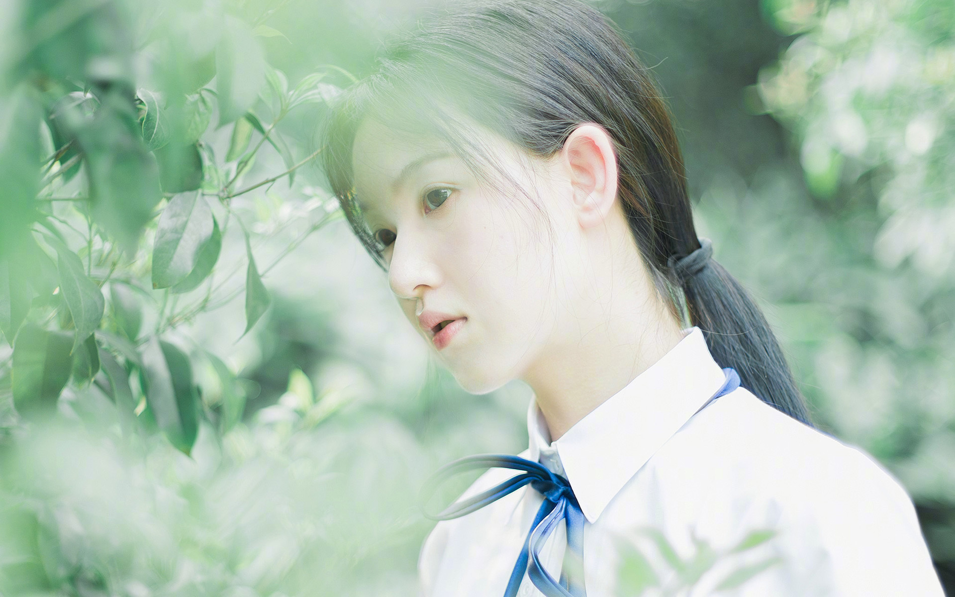 开云中国-海外游艇比赛，领略海上运动的奢华风采，游艇大赛