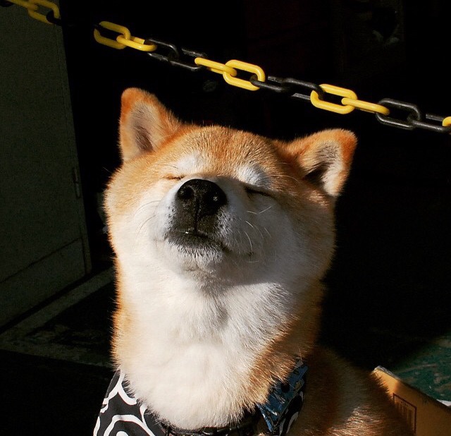 开云官方-瑞士队在巴黎奥运会比赛中展现出强大的远射能力，瑞士历届奥运会金牌