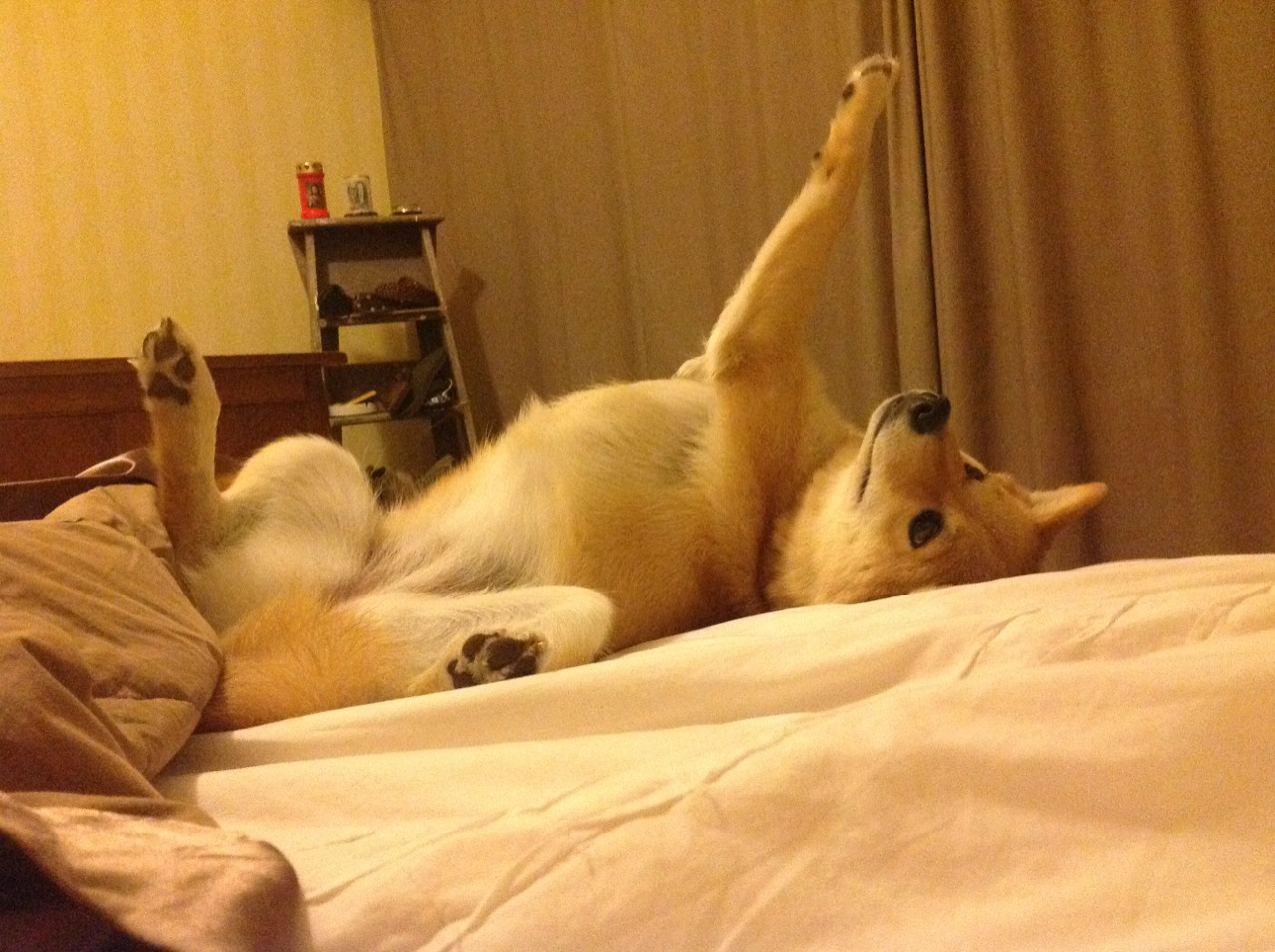 开云入口-精彩回放：王强的逆袭投篮成为全场最高点！，cba王强