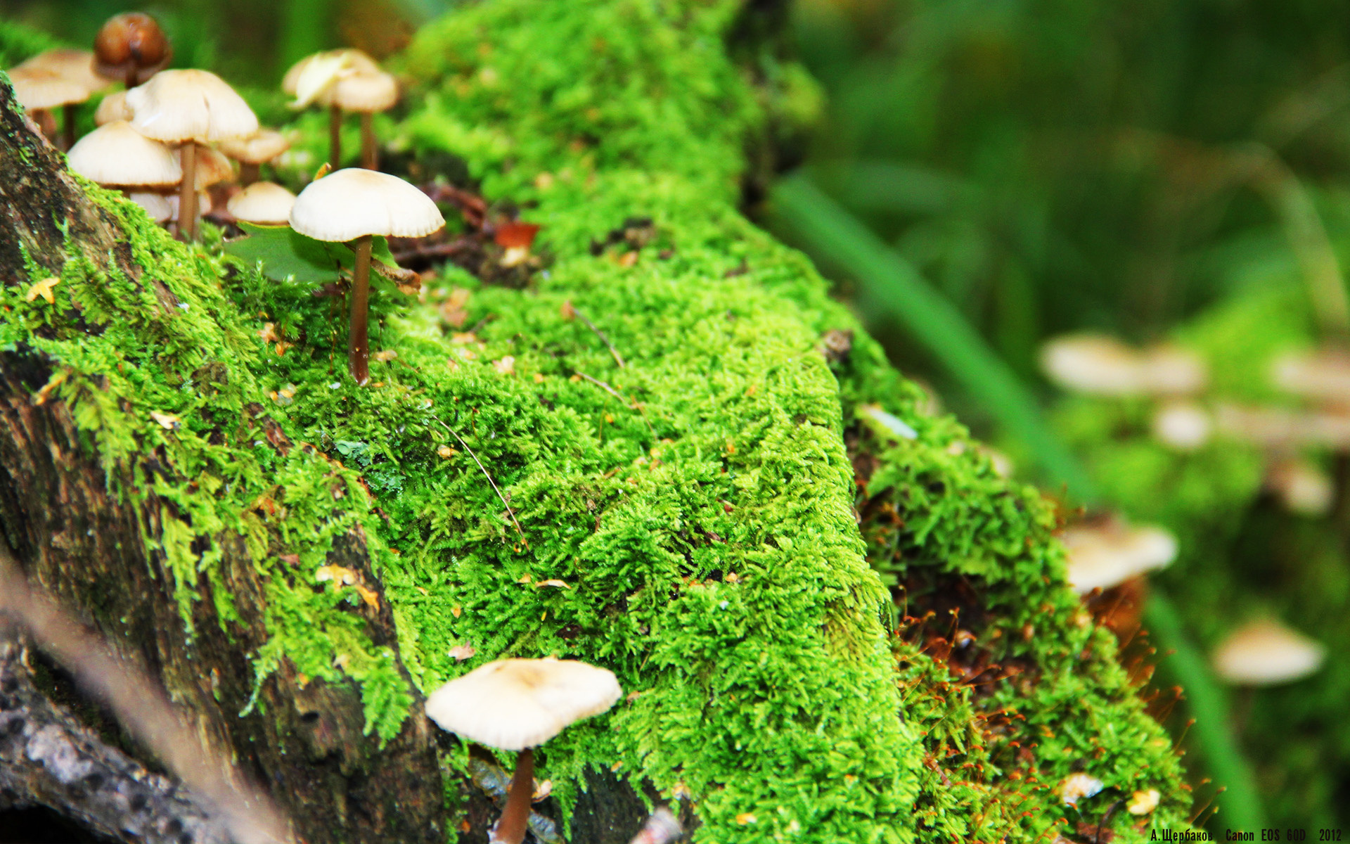 篮球赛事转播采用先进4K技术，篮球转播机位图