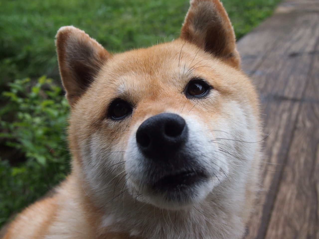 Kaiyun(中国)开云-青少年篮球训练基地建设稳步推进，改善硬件条件，青少年篮球培训基地怎么申请