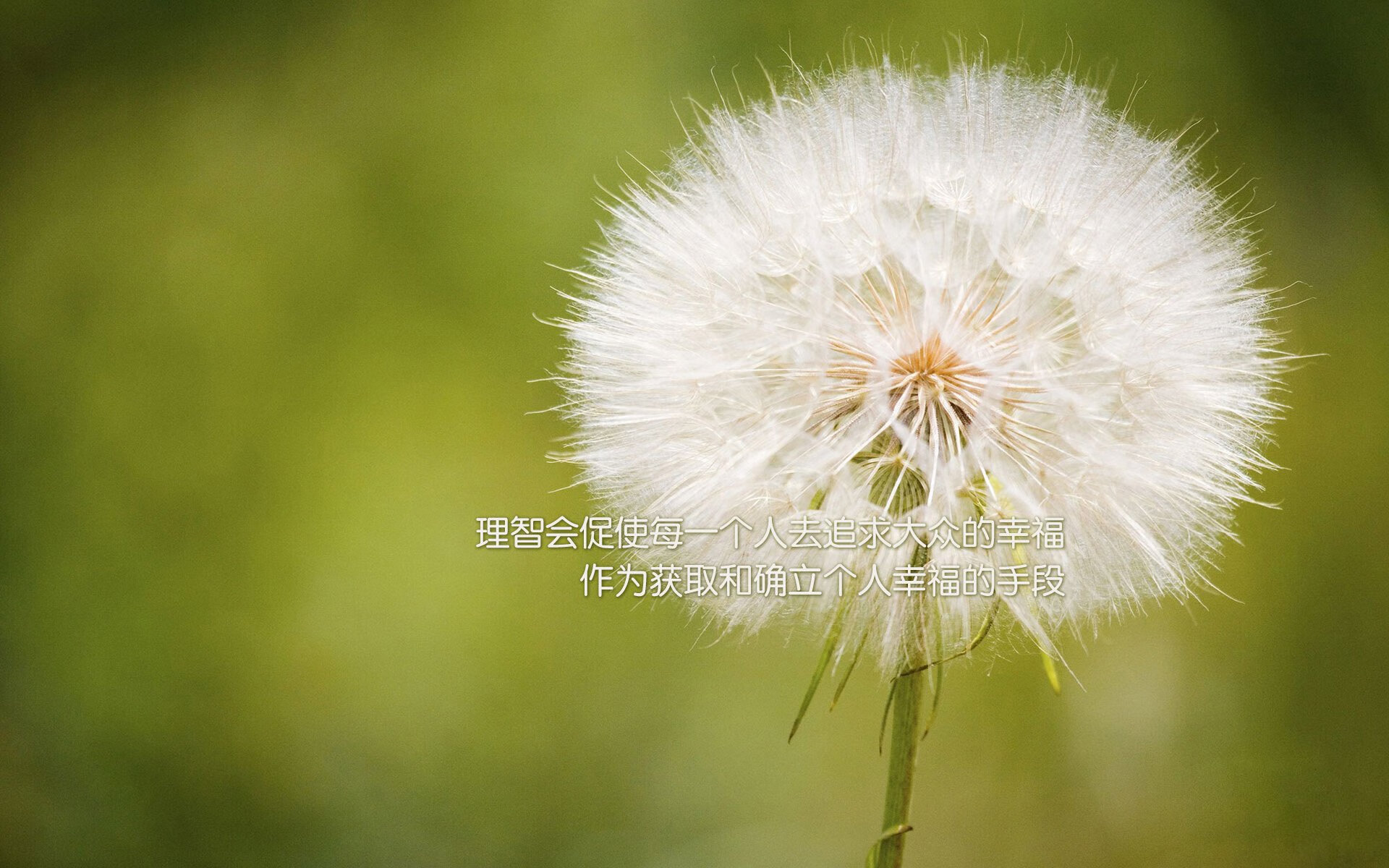 开云网页版-TES宣布加入“全球电竞运动防伤联盟”