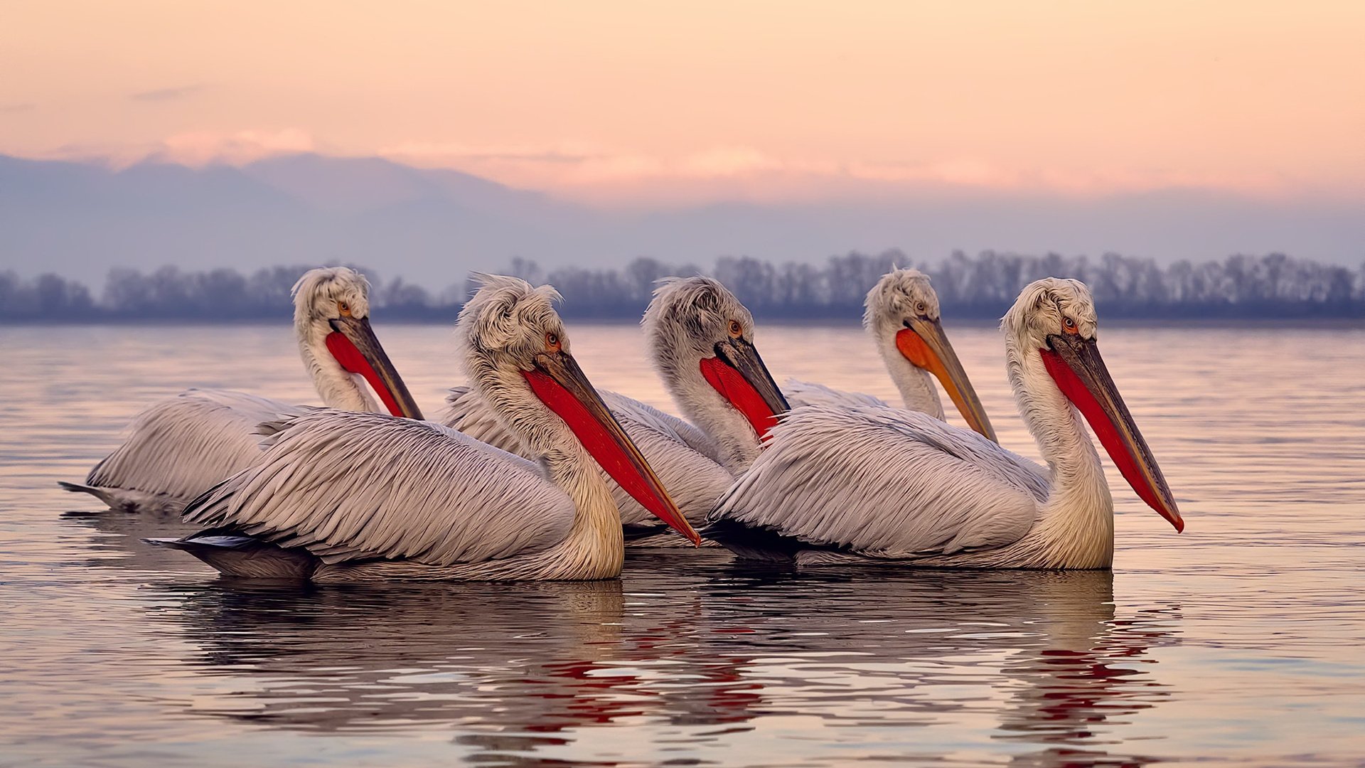 利物浦报价万镑求购国际米兰射手马丁内斯，利物浦马德里竞技次回合