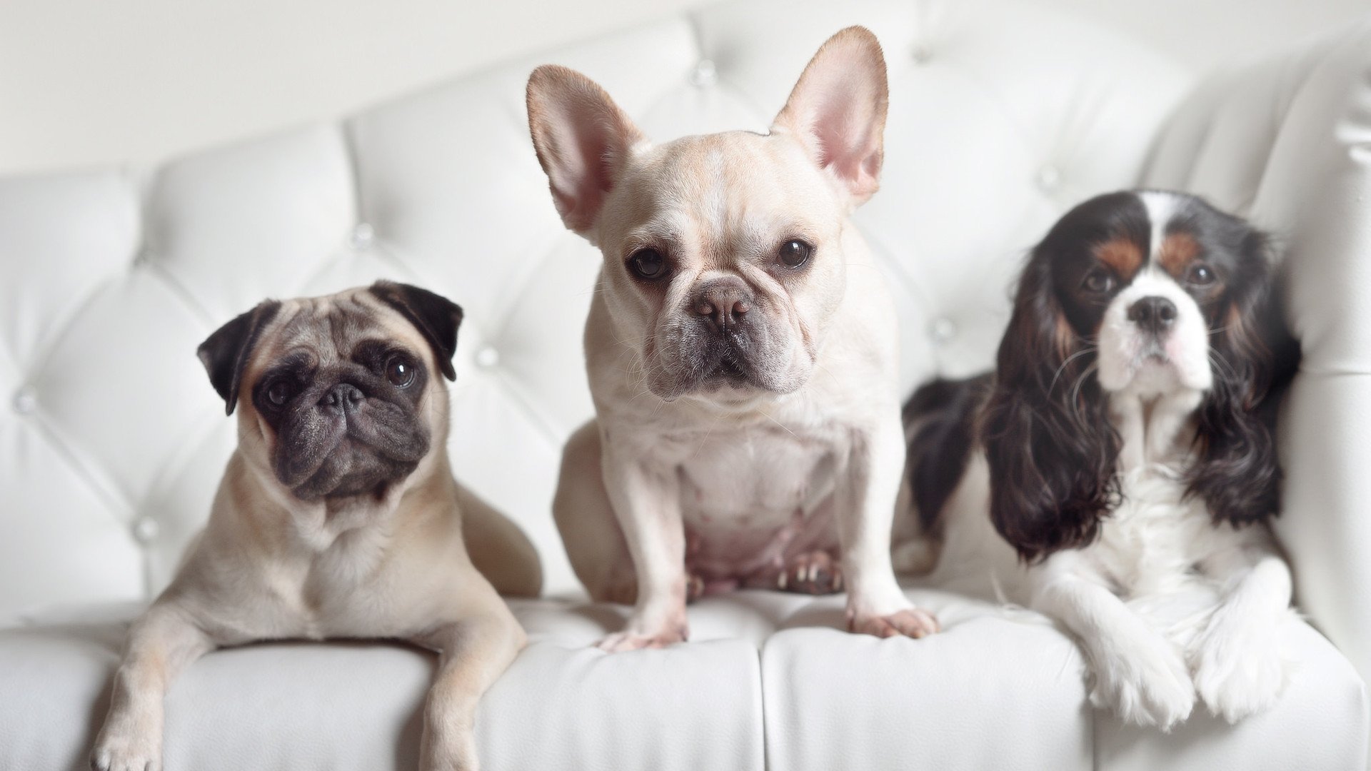 开云网站-挪威对决拉脱维亚：东风压倒西风？，挪威vs拉脱维亚