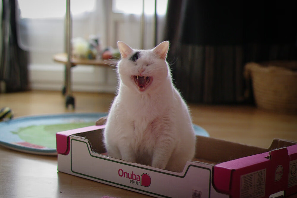 开云官方网站-欧国联赛开启新篇章，球员斗志昂扬，欧国联赛程2020赛制