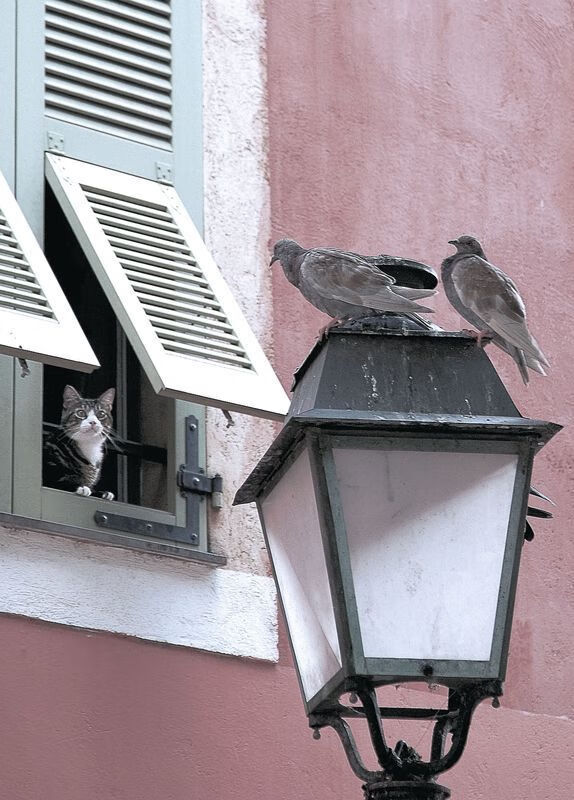 开云·体育官网-西班牙队在足球比赛中彪炳战绩，掀起热潮，西班牙队视频