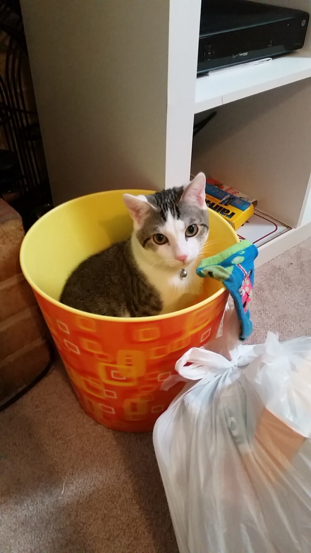 青少年篮球比赛裁判标准完善,青少年篮球赛制