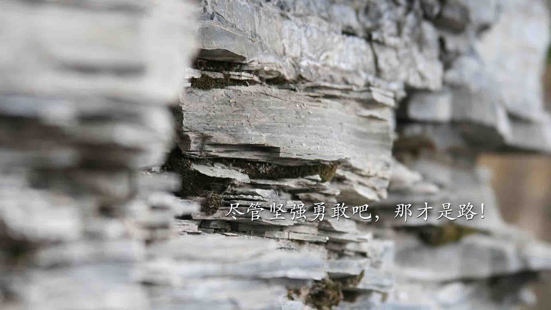 香槟队外线火力全开,横扫对手轻松取胜,香槟f1