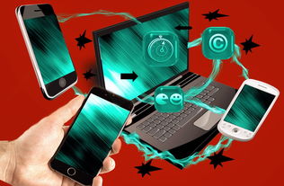 开云网页版-裁判团队数字考核系统试运行，裁判员管理平台