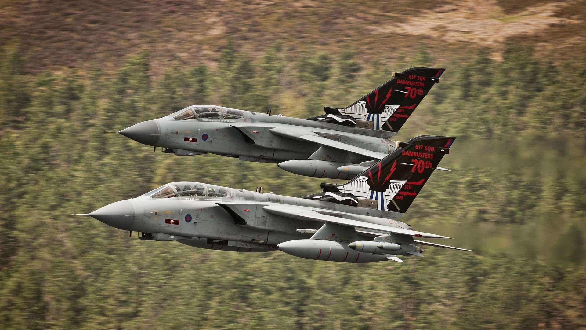 蝶泳年轻选手摩纳哥潜力无限，摩纳哥泳池